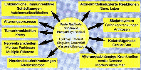 Krankheiten, bei denen freie Radikale eine Rolles spielen